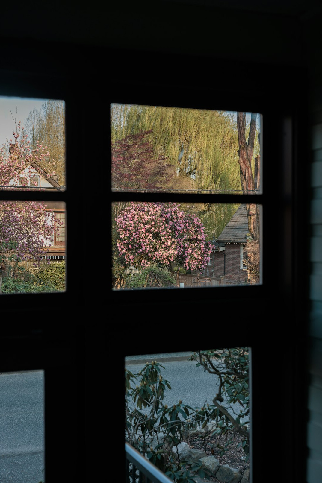 home garden view