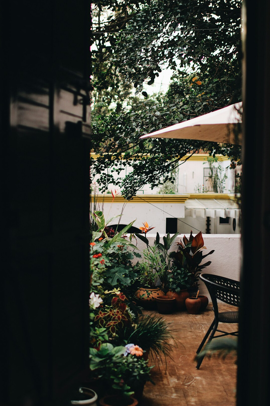 celebrity home garden view
